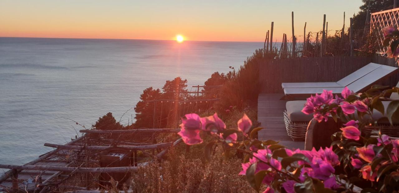 فيلا Refuge Uwabio Organic Vineyard Cinqueterre ريوماجّوري المظهر الخارجي الصورة