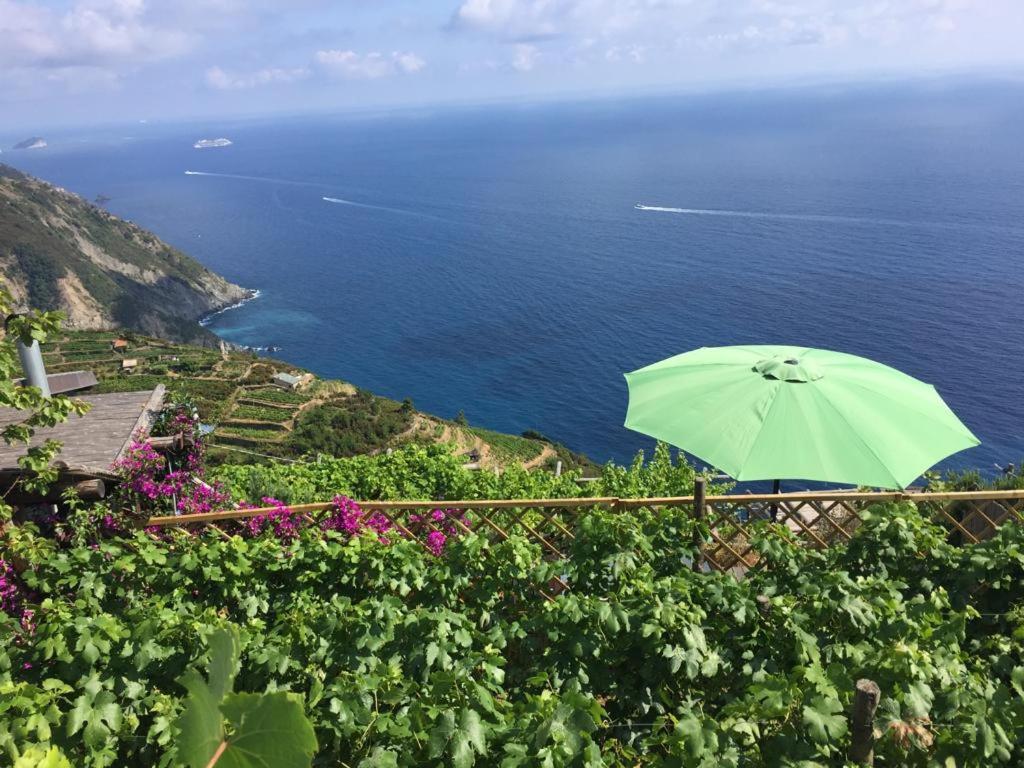 فيلا Refuge Uwabio Organic Vineyard Cinqueterre ريوماجّوري المظهر الخارجي الصورة