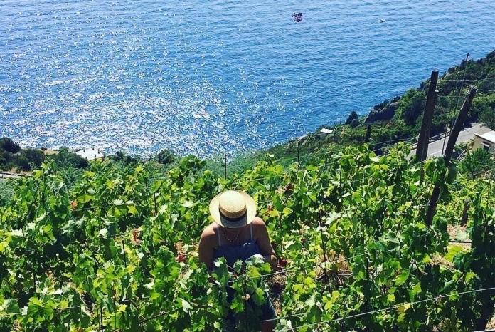 فيلا Refuge Uwabio Organic Vineyard Cinqueterre ريوماجّوري المظهر الخارجي الصورة