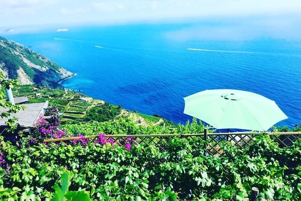 فيلا Refuge Uwabio Organic Vineyard Cinqueterre ريوماجّوري المظهر الخارجي الصورة