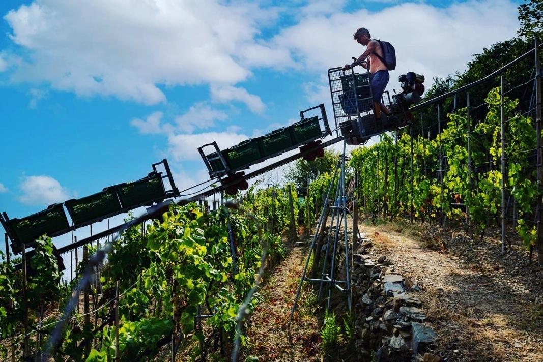 فيلا Refuge Uwabio Organic Vineyard Cinqueterre ريوماجّوري المظهر الخارجي الصورة