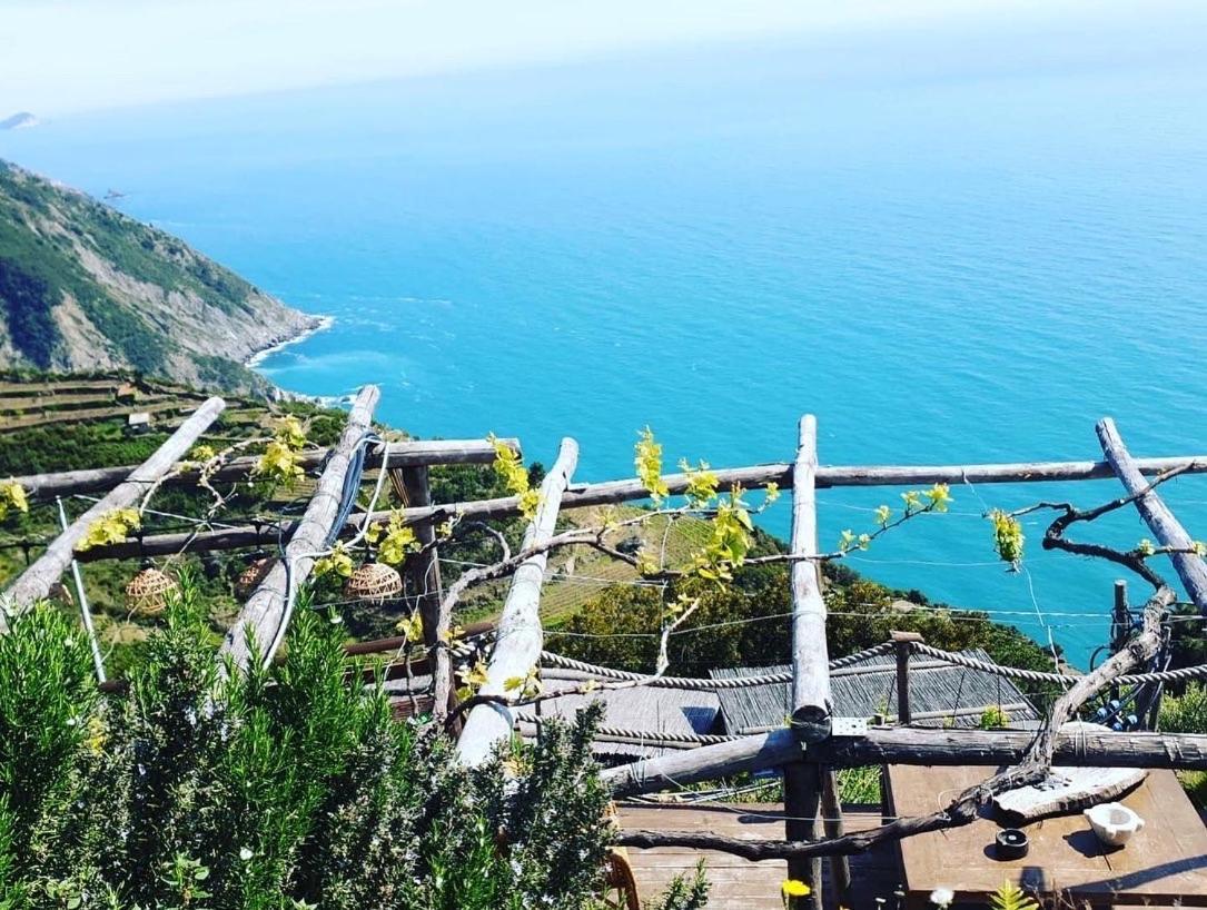 فيلا Refuge Uwabio Organic Vineyard Cinqueterre ريوماجّوري المظهر الخارجي الصورة