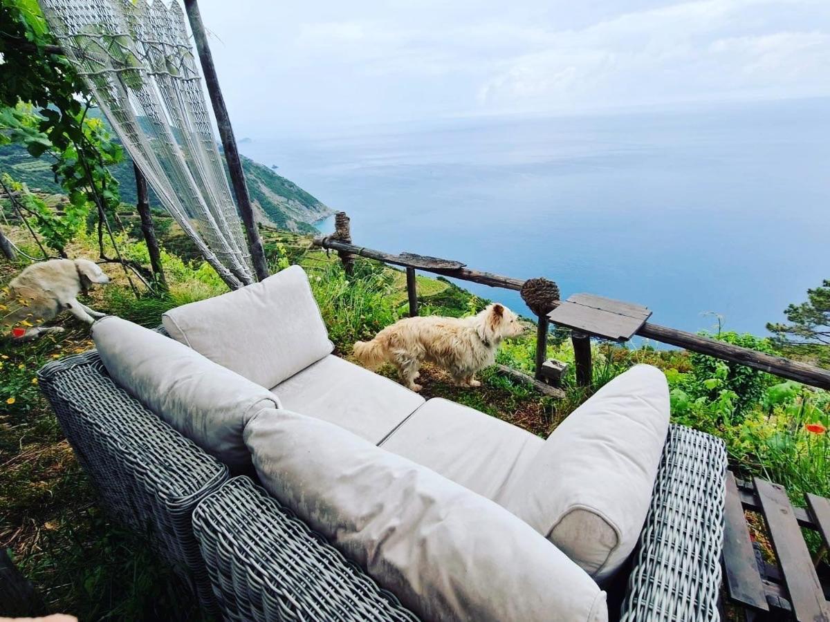 فيلا Refuge Uwabio Organic Vineyard Cinqueterre ريوماجّوري المظهر الخارجي الصورة